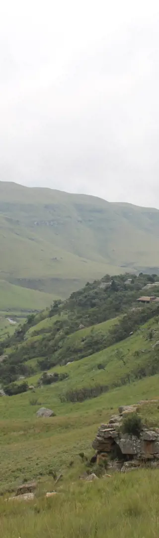 Wanderung durch die Drakensberge